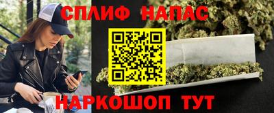 прущие грибы Канаш