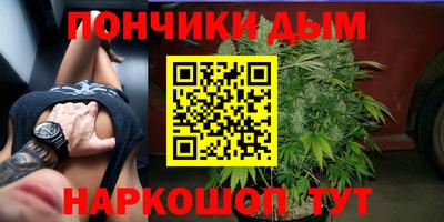 прущие грибы Канаш