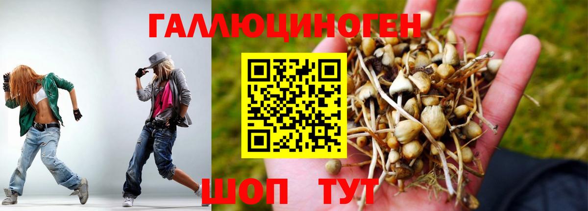 Псилоцибиновые грибы MAGIC MUSHROOMS  Вход с VPN  Краснознаменск  Галлюциногенные грибы GOLDEN TEACHER 